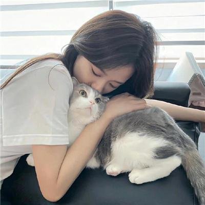 案中案